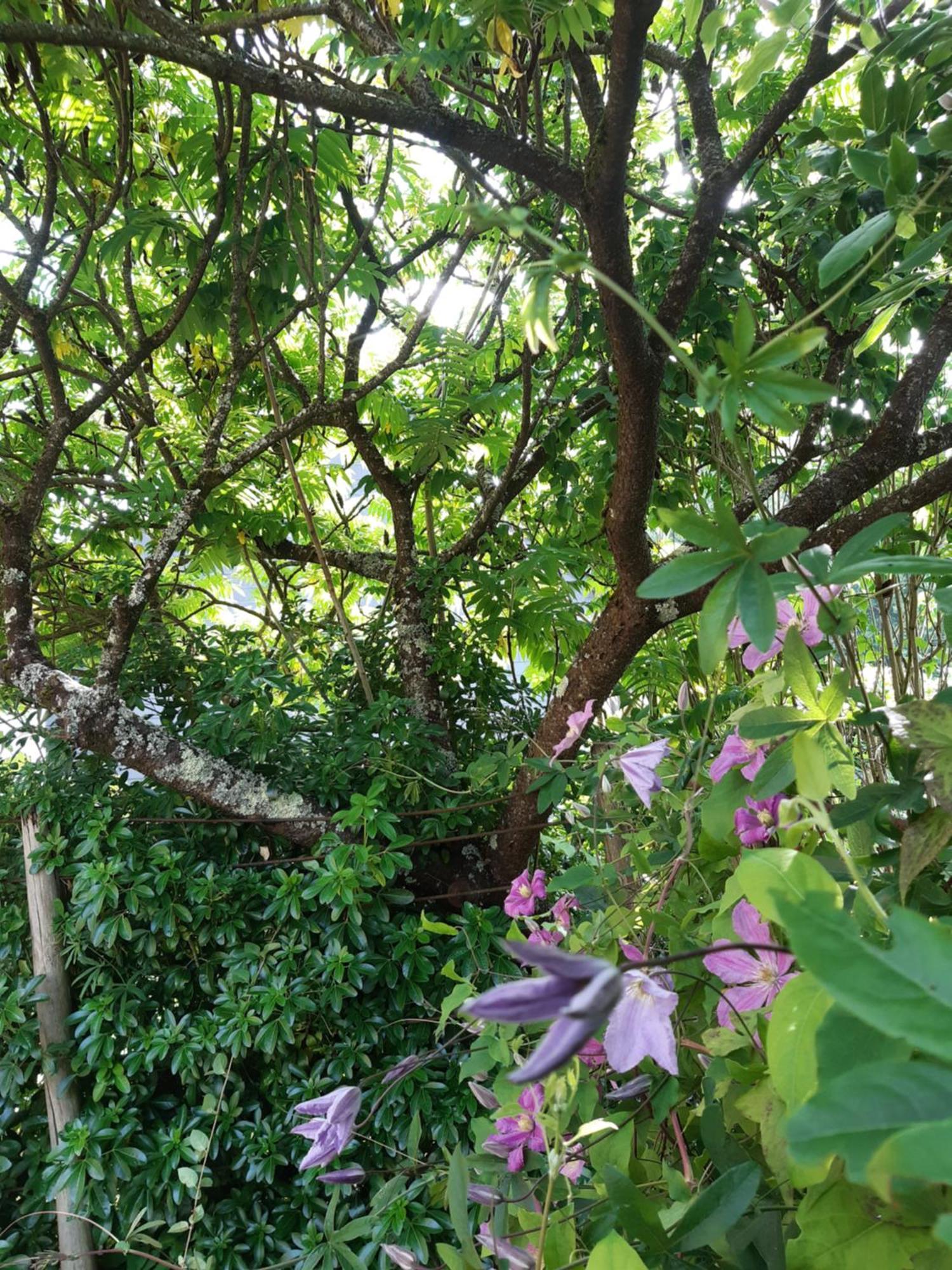 La Maison Paisible Guemene-Penfao Ngoại thất bức ảnh
